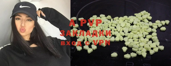 гашик Алексеевка