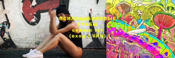 стаф Абинск