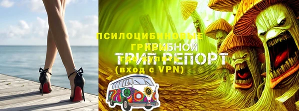 не бодяженный Алексин