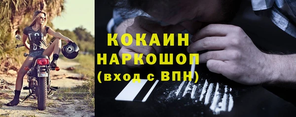стаф Абинск