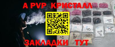 apvp Кунгур