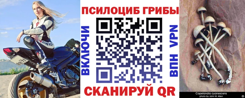 Галлюциногенные грибы GOLDEN TEACHER  Краснокамск 