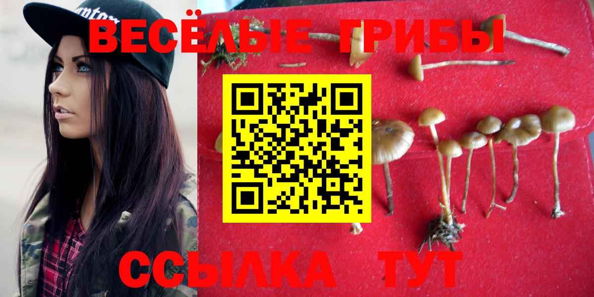 Галлюциногенные грибы Psilocybine cubensis Краснокамск