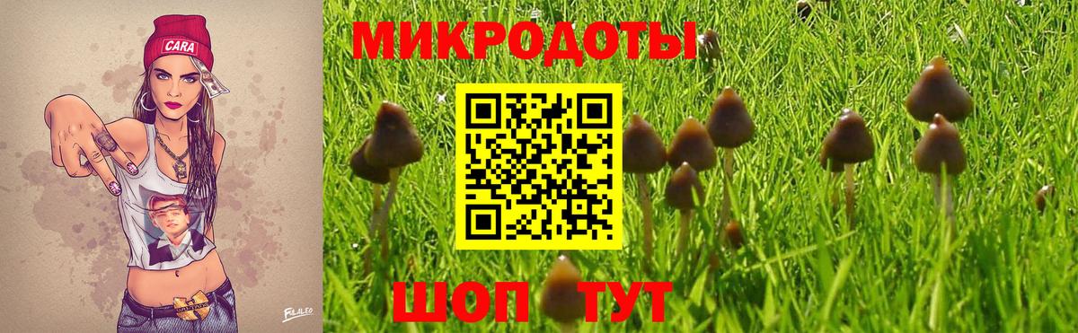 Псилоцибиновые грибы GOLDEN TEACHER  Галлюциногенные грибы мицелий  Краснокамск  Вход с VPN 