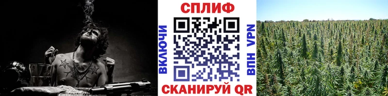 Каннабис индика  где продают наркотики  Краснокамск 